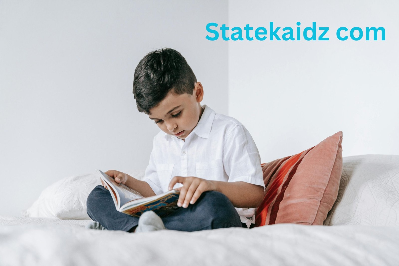 Statekaidz com