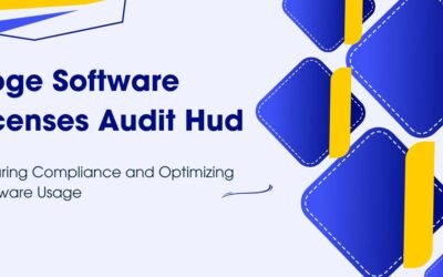 doge software licenses audit hud