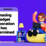 amazing gadget corporation has determined